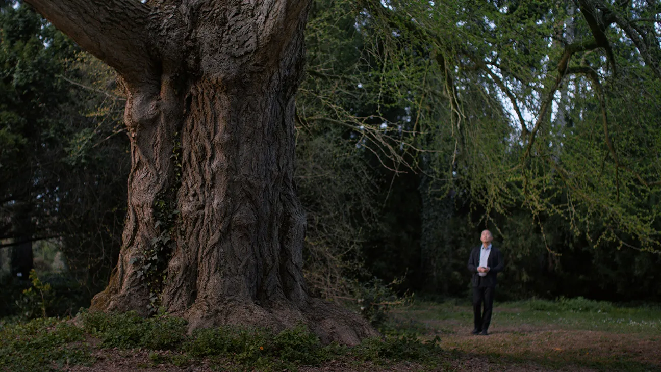 Thumbnail image for the film project "Silent Friend trailer" that I worked on as production designer